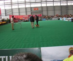 ���������������